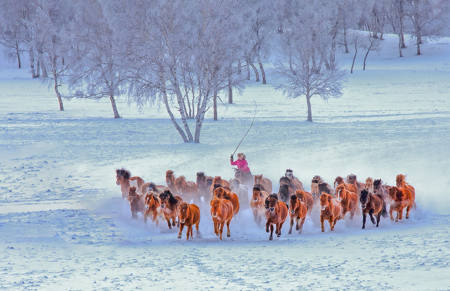 Snowy Forest Galloping Horse