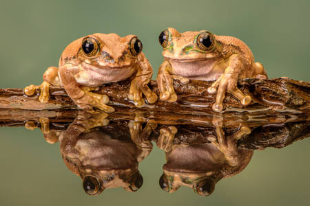 Chilling Together