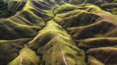 The Contours Of Sumba