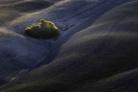 The Geometry Of The Evening