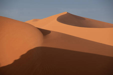 Dune Art