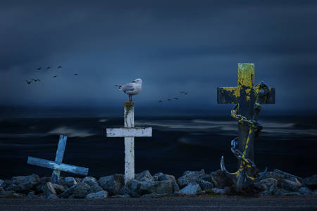 To The Sea We Surrendered