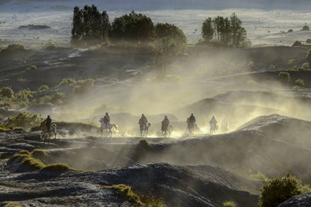 Riders 167