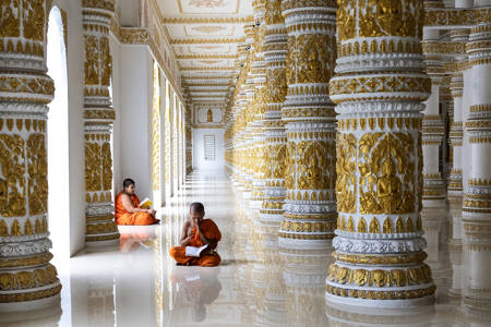 Novice Monks Learning 6