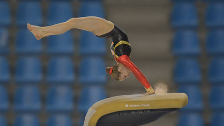 PERFECTE SPRONG