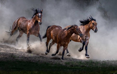 Three On The Run