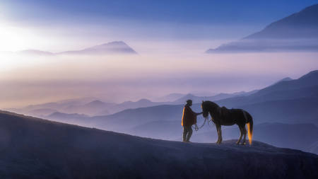 Me And My Horse 3668
