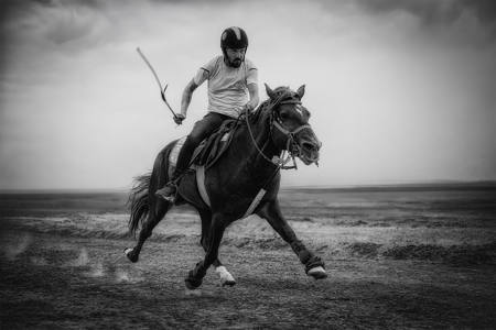 Trotting Horse