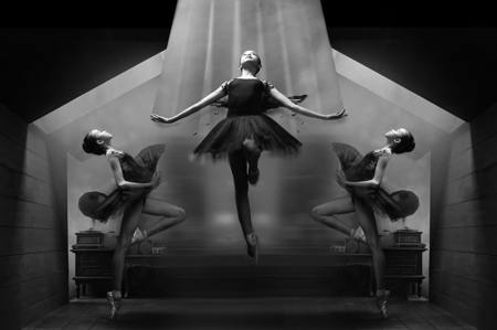 Fly To The Lights