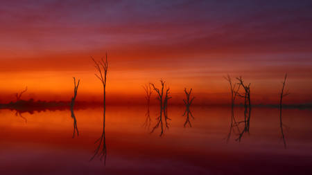 Dawn At The Settling Ponds