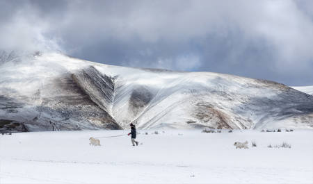 Snow Walk