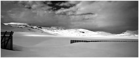 Hardangervidda Norway