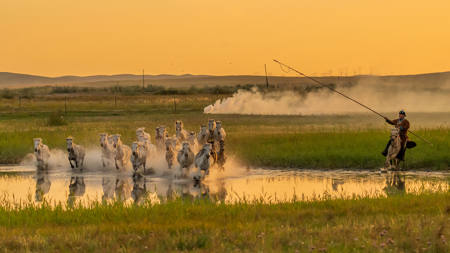Across The Steppe Waters