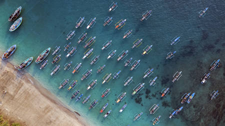 The Fleet Of Papuma