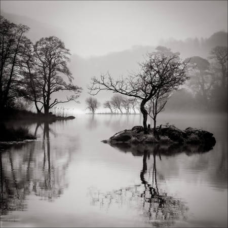 Morning Mist