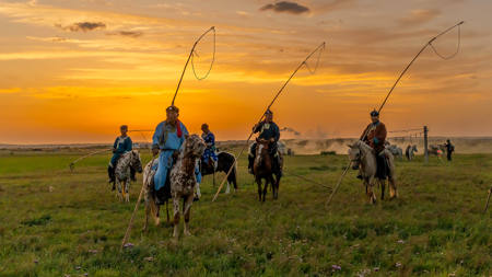 Dusk Riders
