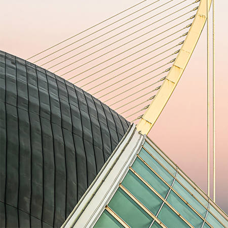 Curves And Lines