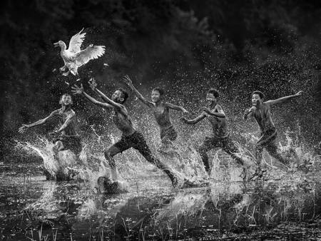 Catching A Duck 1