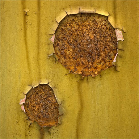 Iron Sunflowers
