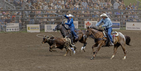 Team Calf Roping