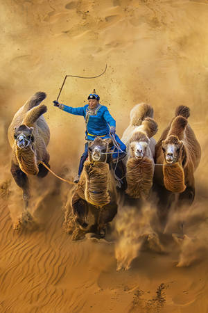 Gliding Down