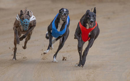 Running Three