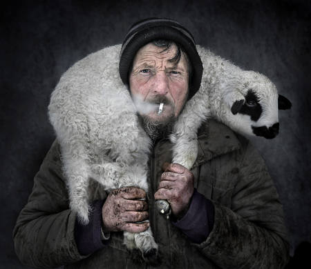 Life With Lamb