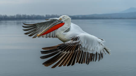 In Flight