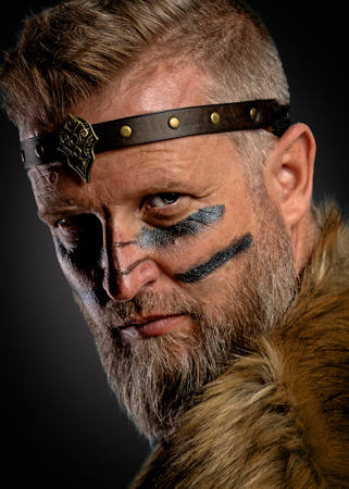 Viking Style