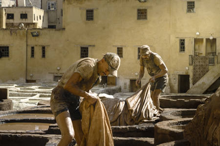 Tannery Workers In Fez