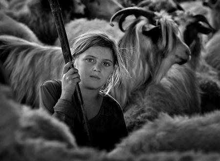 Shepherd Girl