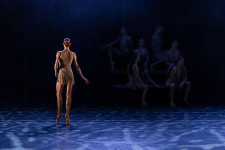 Ballet In The Bench