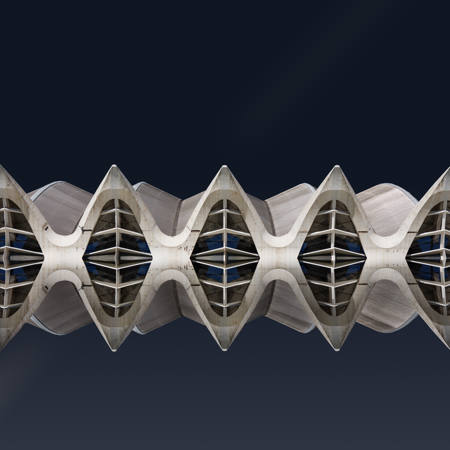 Spine