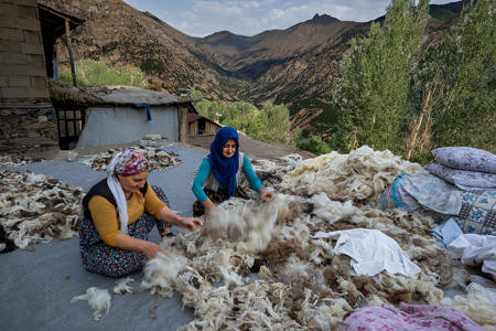 Wool Ventilation