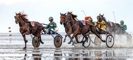No 8 In The Same Race