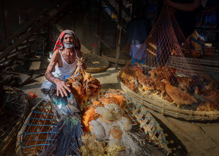 Chicken Vender