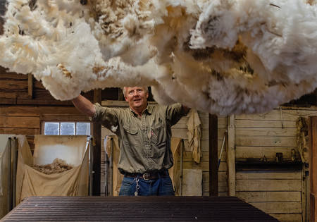 Tossing The Fleece
