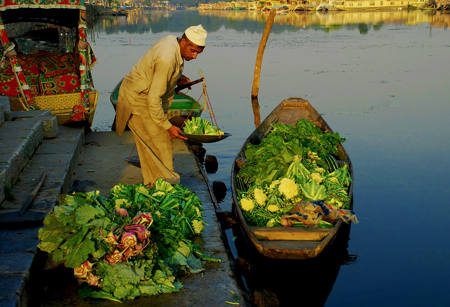 Vegetable Vendor