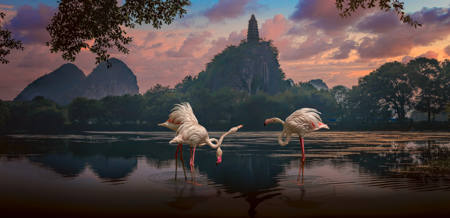 Tranquility