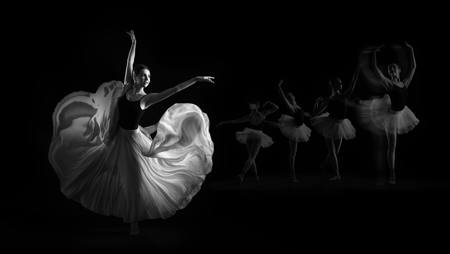 Dance Of The Radiant Feathers