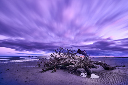 Morning On The Beach