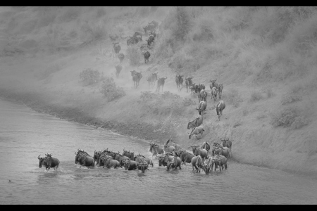 River Crossing