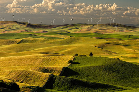 Palouse Sunset