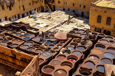 Leather Production