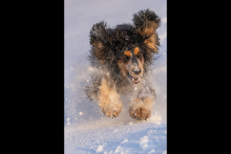 Snow Day Play Day