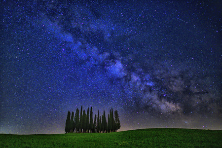 Cypresses With The Milky Way