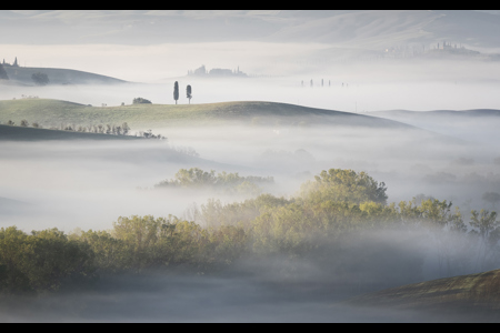 Misty Morning In Tuscany