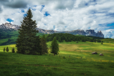 Alpe Di Siusi 2