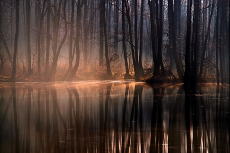 Nature Reserve. Blue Springs