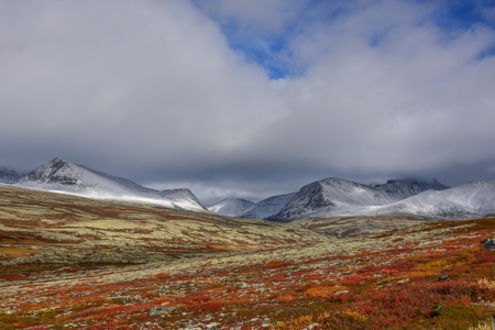 Autumn In Rondane Norway